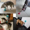 Silicone Suction Cup Dog Tug Toy – Interactive Chew Ball with Toothbrush Feature - Image 7