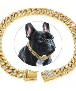 Luxury Gold Pet Metal Chain Collar