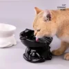 Elevated Slanted Anti Tip Cat Bowl - Image 5
