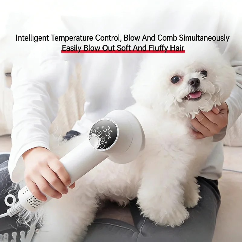 Professional Pet Hair Dryer 2-in-1