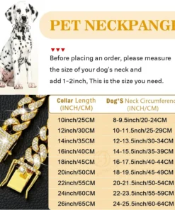 Alternative view of Luxury Gold Pet Metal Chain Collar