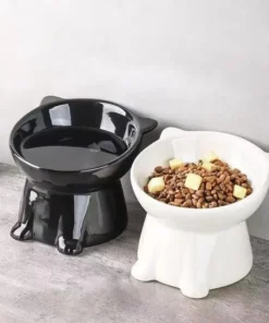Elevated Slanted Anti Tip Cat Bowl