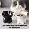 Elevated Slanted Anti Tip Cat Bowl - Image 2